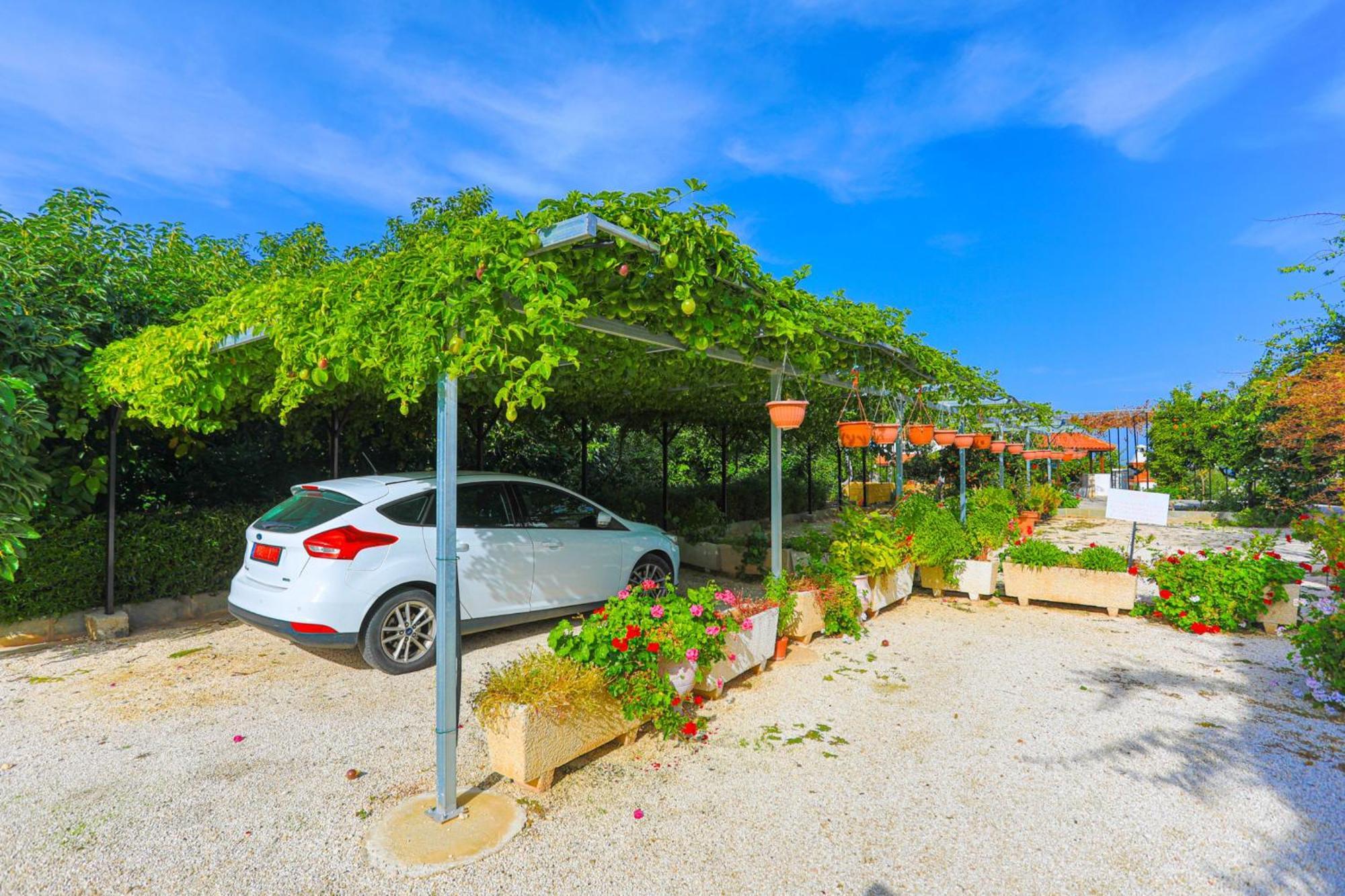 Villa Ira Finiki ลาตซี ภายนอก รูปภาพ